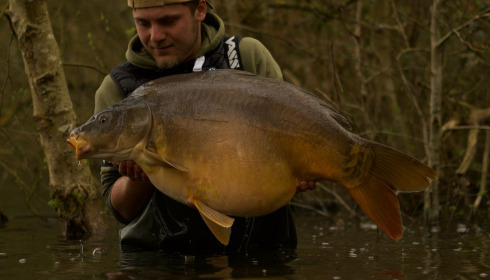 A carp from Emeraude, Mar 2025