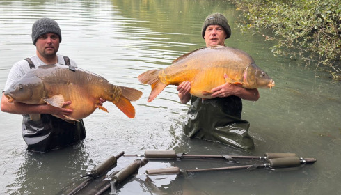 A carp from Emeraude, Sep 2025