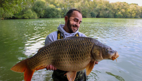 A carp from Emeraude, Oct 2024