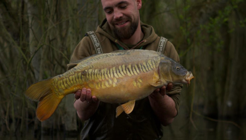 A carp from Emeraude, Mar 2025