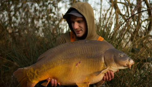 A carp from Emeraude, Feb 2025