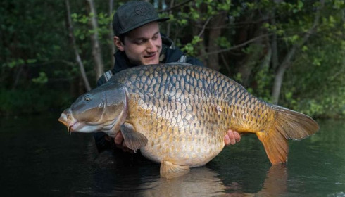 A carp from Emeraude, Jul 2024