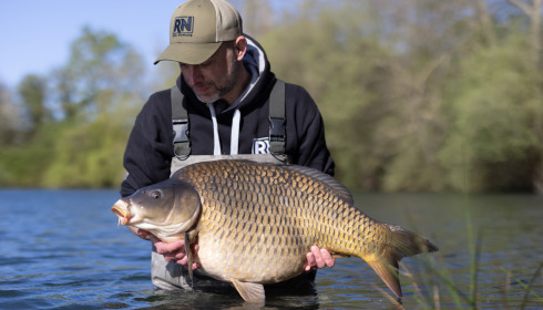 A carp from Emeraude, Apr 2024