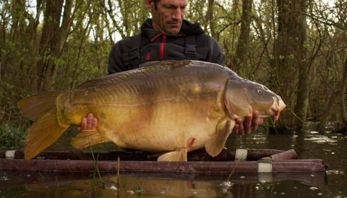 A carp from Emeraude, Apr 2024