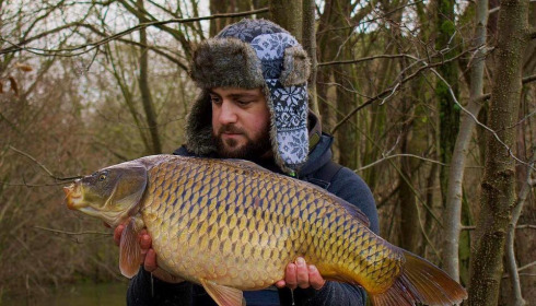 A carp from Emeraude, Feb 2024