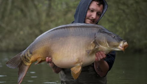 A carp from Emeraude, Apr 2025