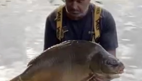 A carp from Emeraude, Sep 2023