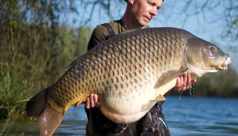 A 70 lb 5 oz carp from Emeraude, Apr 2025