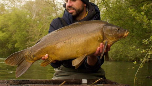 A carp from Emeraude, May 2024