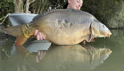 A carp from Emeraude, Sep 2023