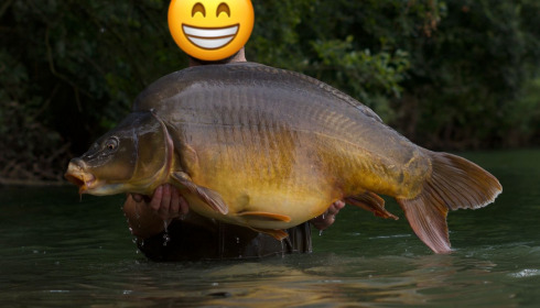 A fish from Emeraude, Jul 2025