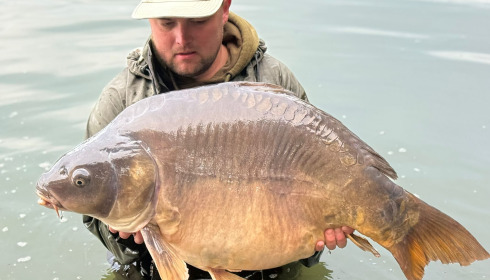A carp from Emeraude, Sep 2025
