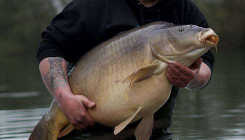 A fish from Emeraude, Mar 2025