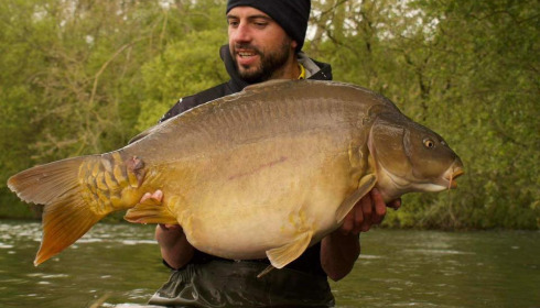 A carp from Emeraude, May 2024