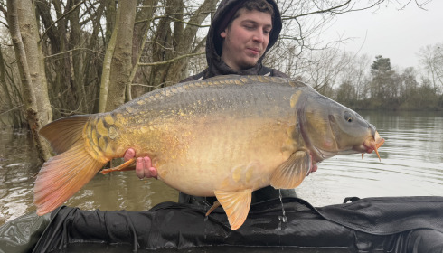 A carp from Emeraude, NEW STOCK, Jan 2025