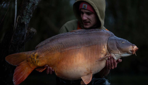 A carp from Emeraude, Dec 2024