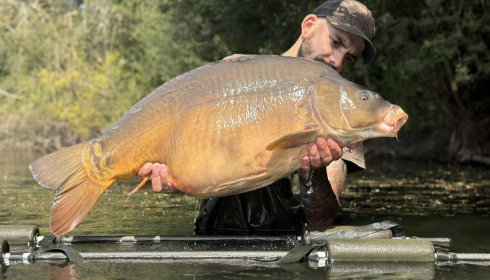 A carp from Emeraude, Aug 2025