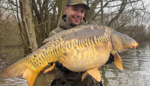 A carp from Emeraude, NEW STOCK, Jan 2025