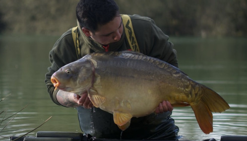 A fish from Emeraude, Mar 2025