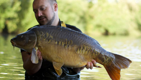 A carp from Emeraude, Sep 2024
