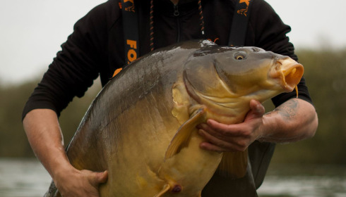 A fish from Emeraude, Mar 2025