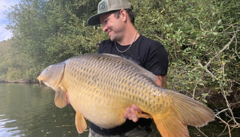 A carp from Emeraude, Sep 2023
