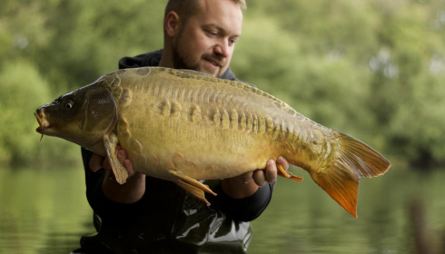 A carp from Emeraude, Sep 2024