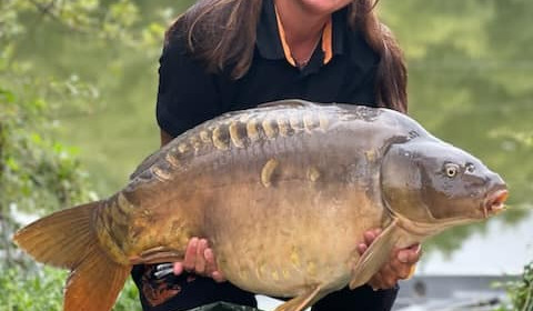 A carp from Emeraude, Aug 2023