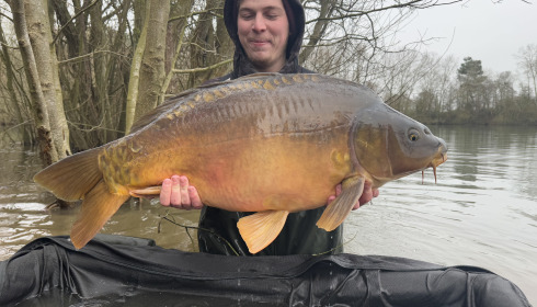 A carp from Emeraude, NEW STOCK, Jan 2025