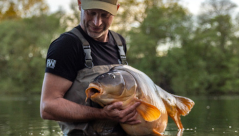 A carp from Emeraude, Apr 2024