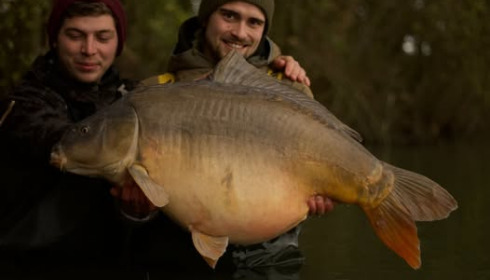 A carp from Emeraude, Nov 2024
