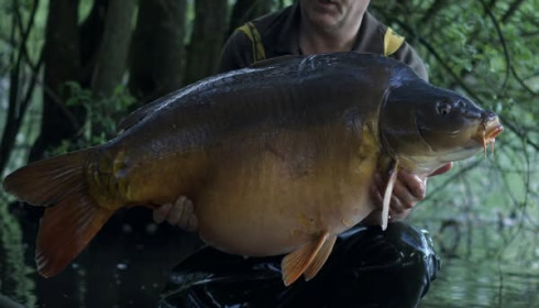 A 55 lb 11 oz carp from Emeraude, May 2025
