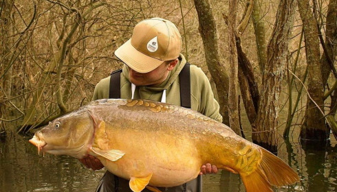 A carp from Emeraude, Feb 2024