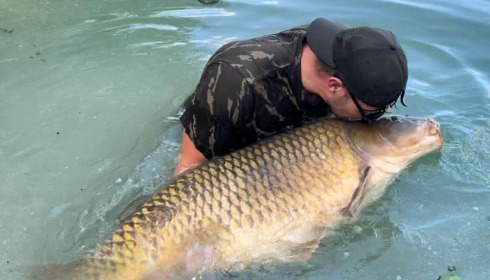 A 75 lb carp from Evaro, Aug 2023