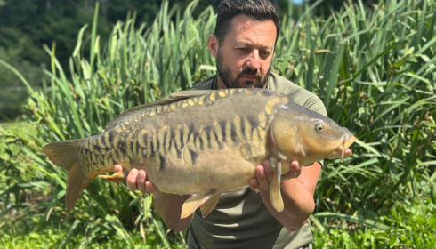 A carp from Evaro, Jul 2025