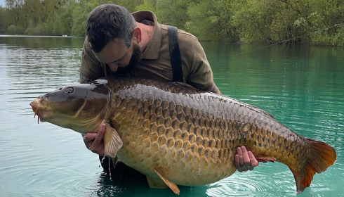 A 77 lb 5 oz fish from Evaro, The big common, Apr 2024