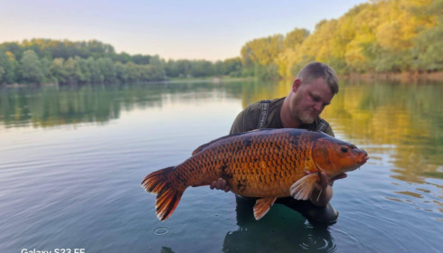 A carp from Evaro, Jul 2025