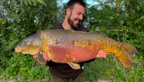 A carp from Evaro, Aug 2023