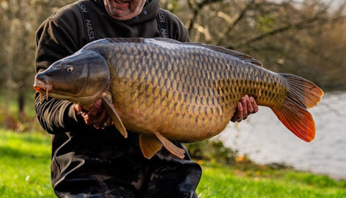 A carp from Evaro, Jan 2025