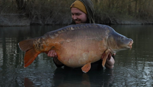 A carp from Evaro, Apr 2025