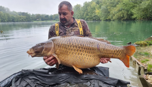 A carp from Evaro, Oct 2025