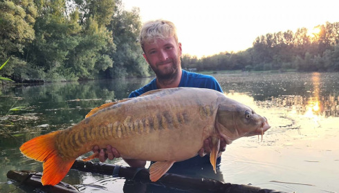 A carp from Evaro, Aug 2024