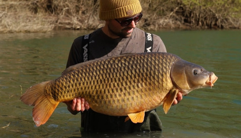 A carp from Evaro, Apr 2025