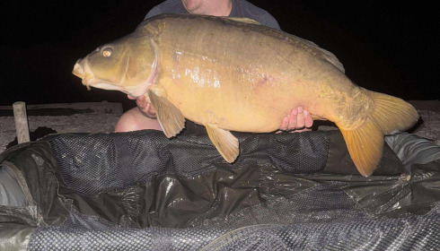 A carp from Evaro, Jul 2025