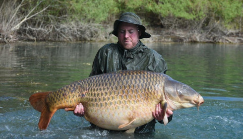 A 84 lb carp from Evaro, Apr 2025