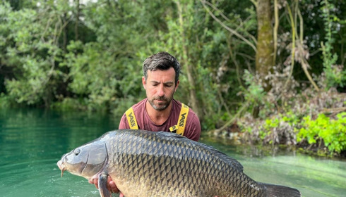 A carp from Evaro, Aug 2023