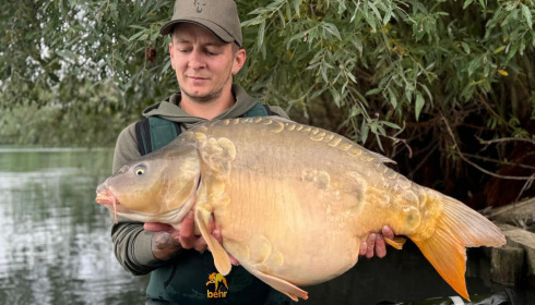 A carp from Fullys Lake, Oct 2024