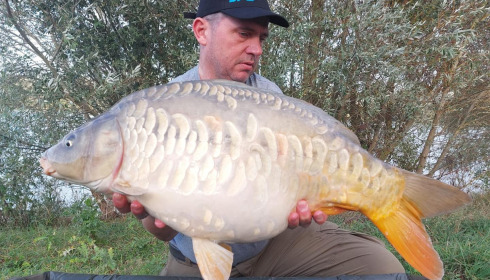 A carp from Fullys Lake, Oct 2023