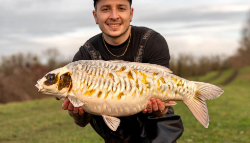 A carp from Fullys Lake, Feb 2025