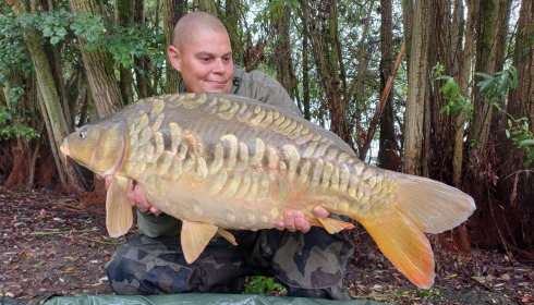 A carp from Fullys Lake, Sep 2024